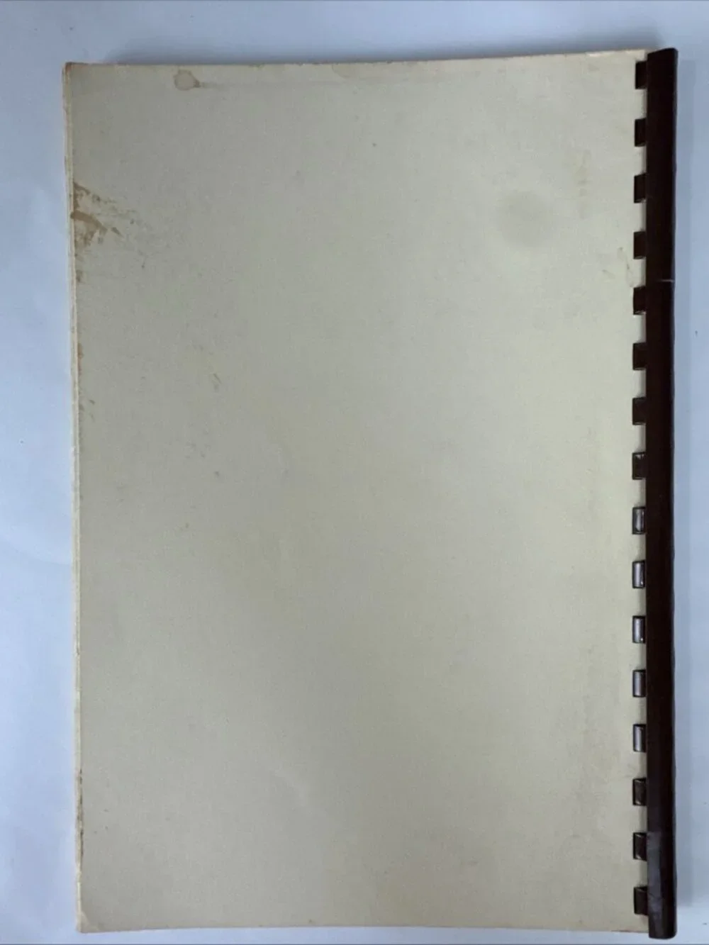 1981 Reflections and Confections of the Adirondacks Cookbook Judy Phillips